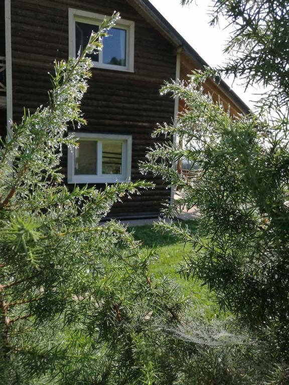 Hotel Kam In Krivopol'ye Exterior foto